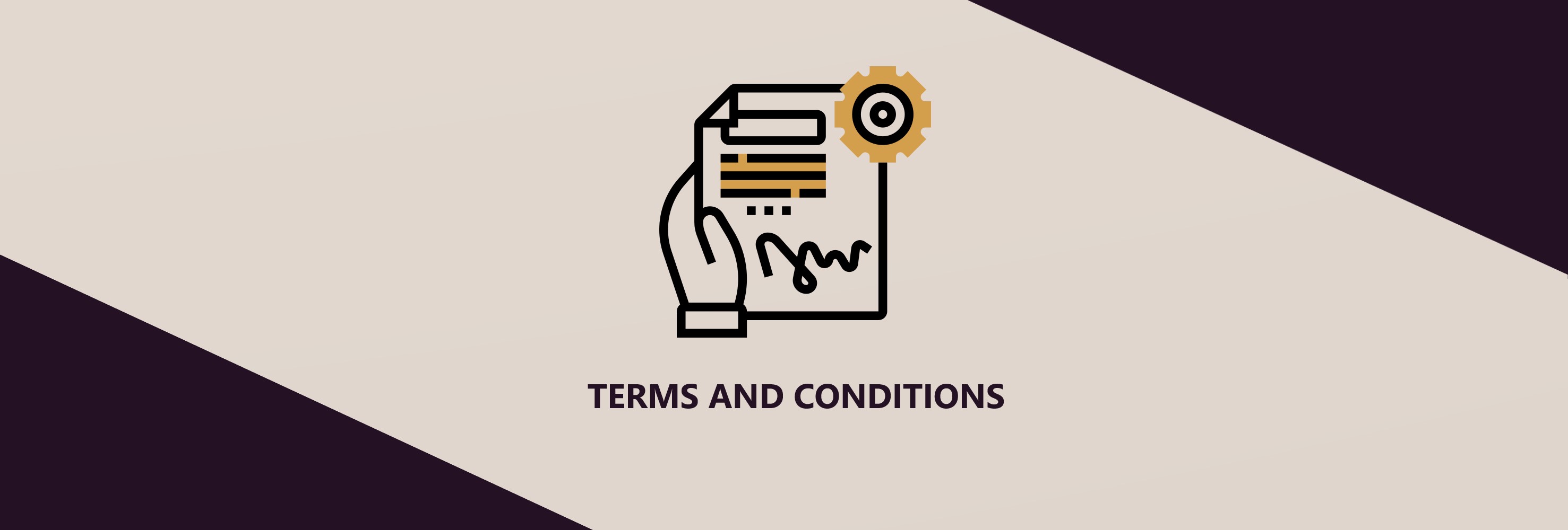 Term and Conditions